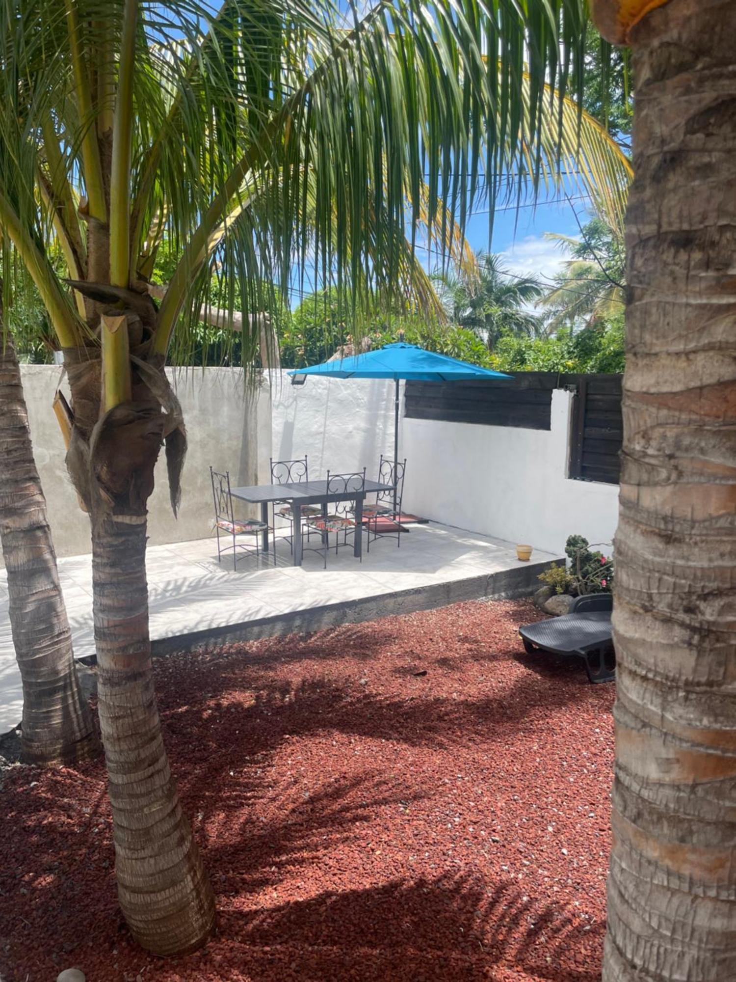Villa Albizia 974 Avec Piscine Et Spa Saint Pierre Extérieur photo