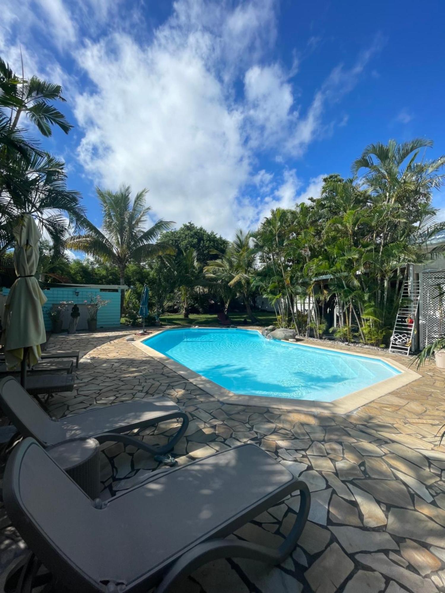Villa Albizia 974 Avec Piscine Et Spa Saint Pierre Extérieur photo