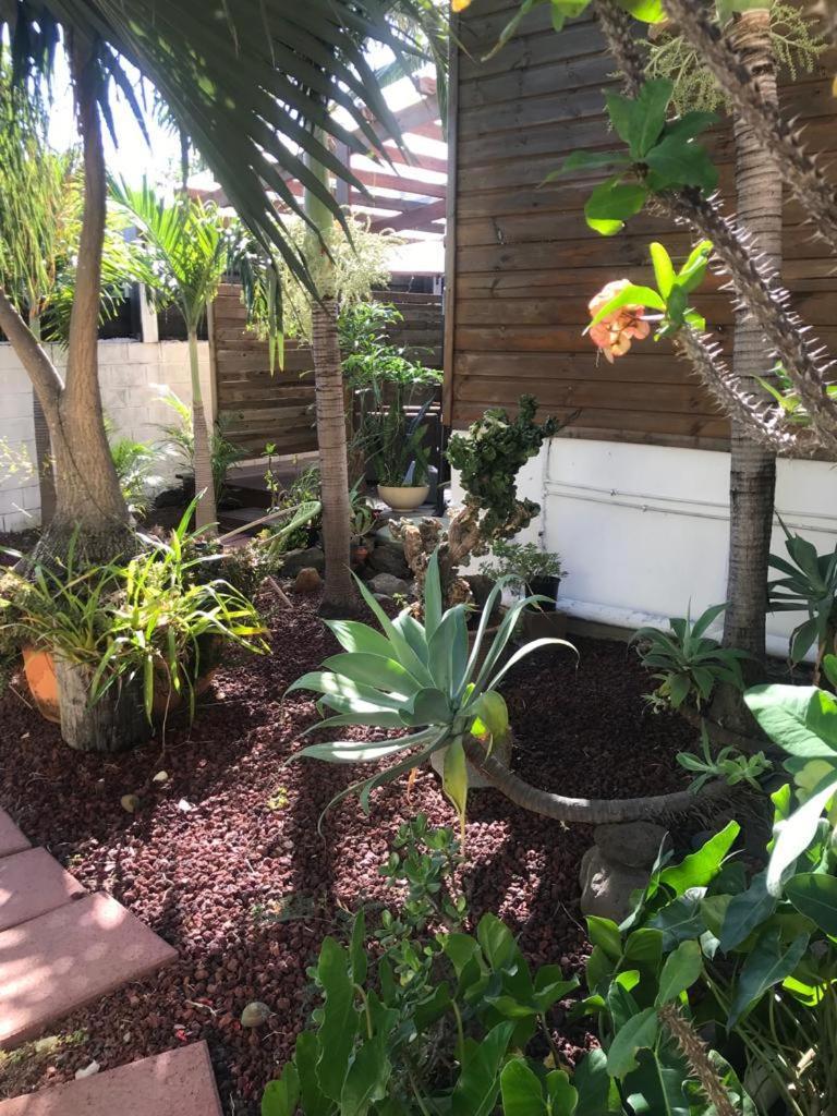 Villa Albizia 974 Avec Piscine Et Spa Saint Pierre Extérieur photo